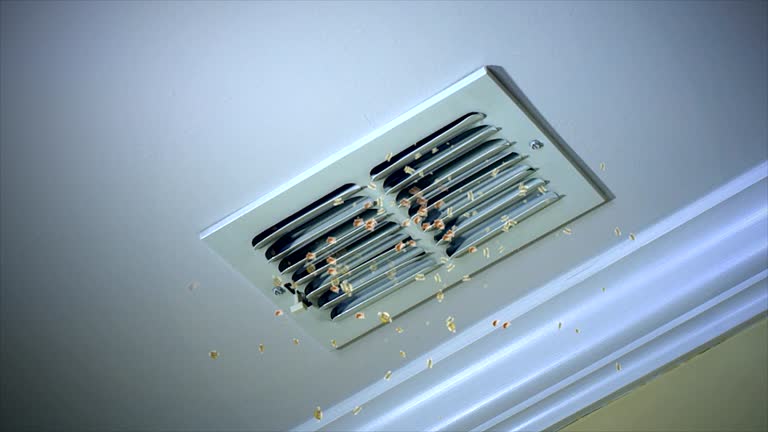 Best Commercial HVAC Duct Cleaning  in Hooper, UT